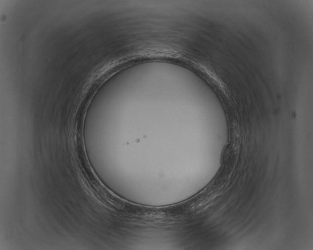 X0000086220631200703291004