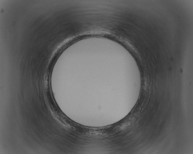 X0000086220632200703291004
