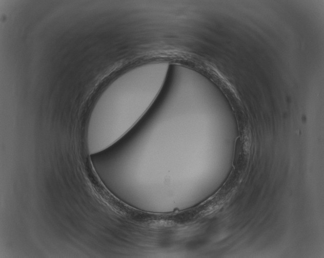 X0000086220637200703291005