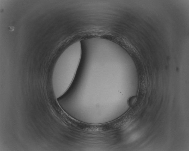 X0000086220639200703291005