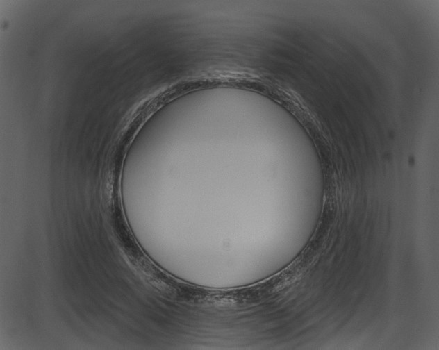 X0000086220640200703291005