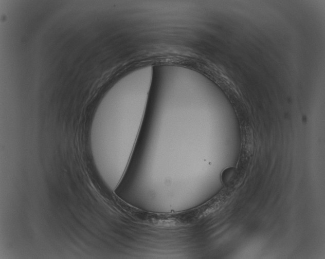 X0000086220645200703291005