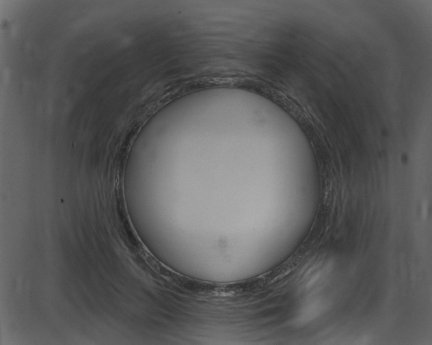 X0000086220647200703291005