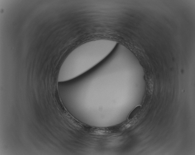 X0000086220657200703291005