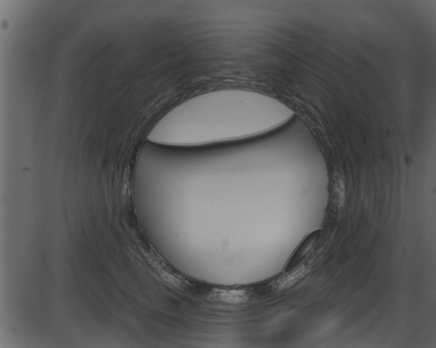 X0000086220665200703291005