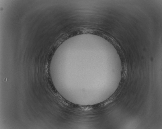 X0000086220667200703291005