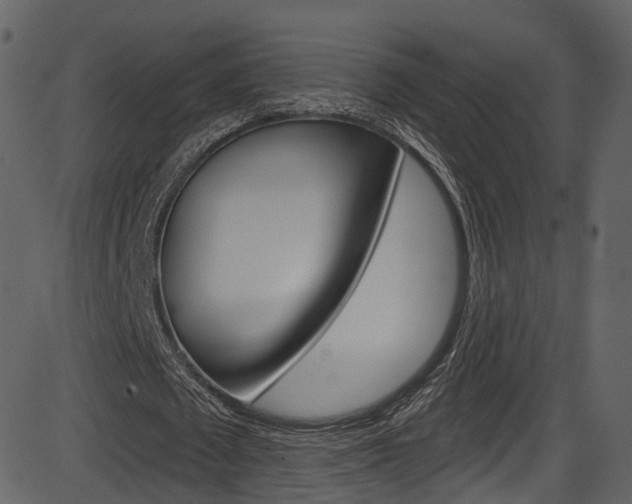 X0000086220673200703291004