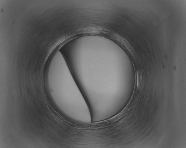 X0000086220675200703291004