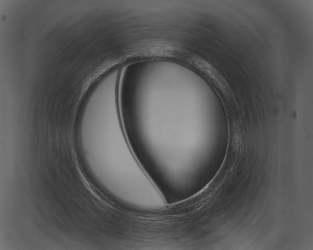 X0000086220677200703291004