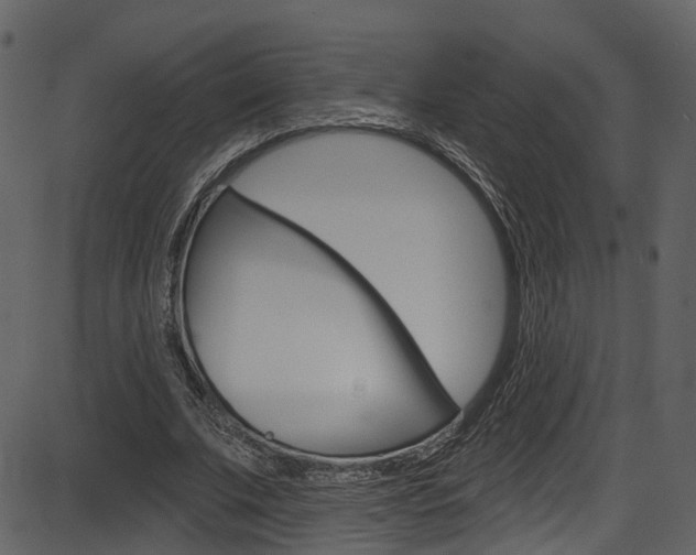 X0000086220679200703291004