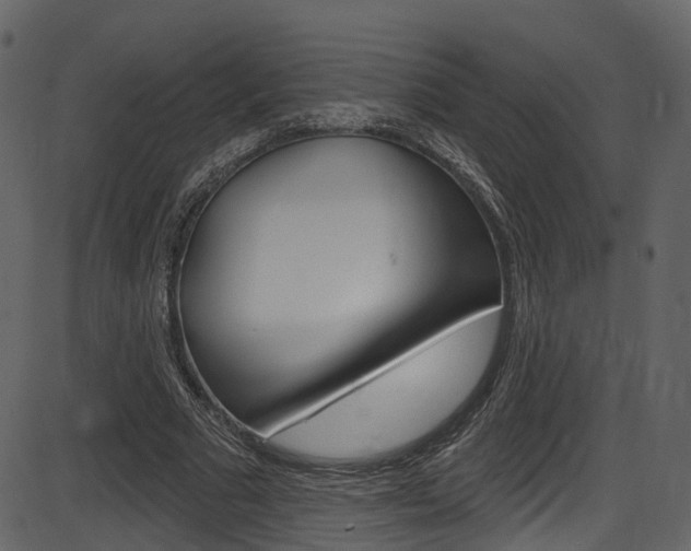 X0000086220681200703291004