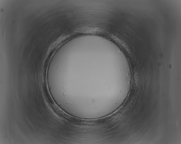 X0000086220682200703291004