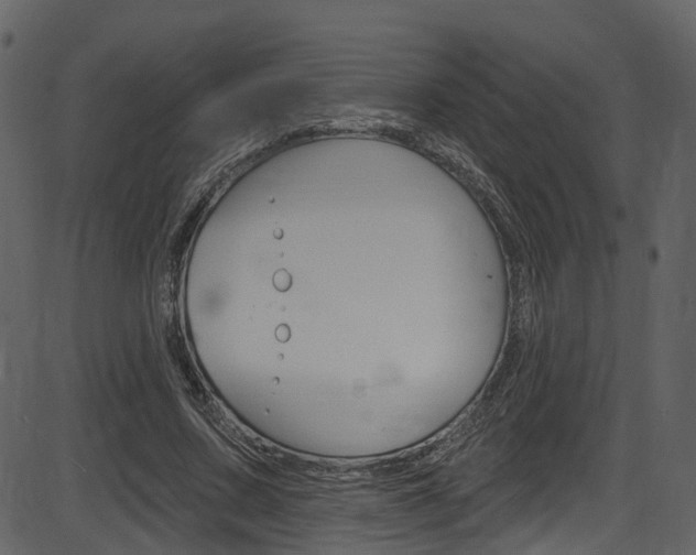 X0000086220683200703291004