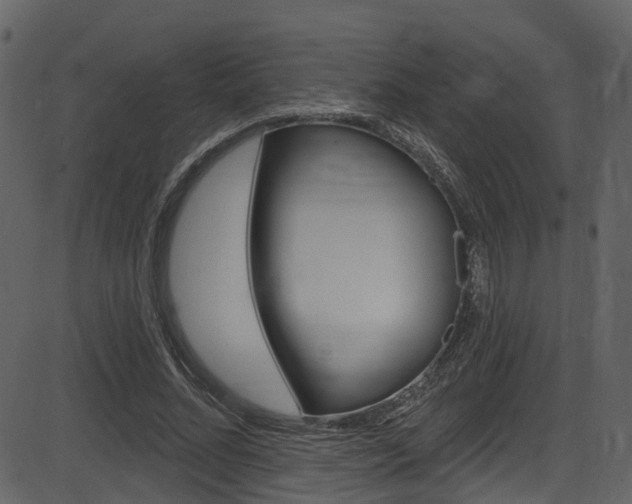 X0000086220684200703291004