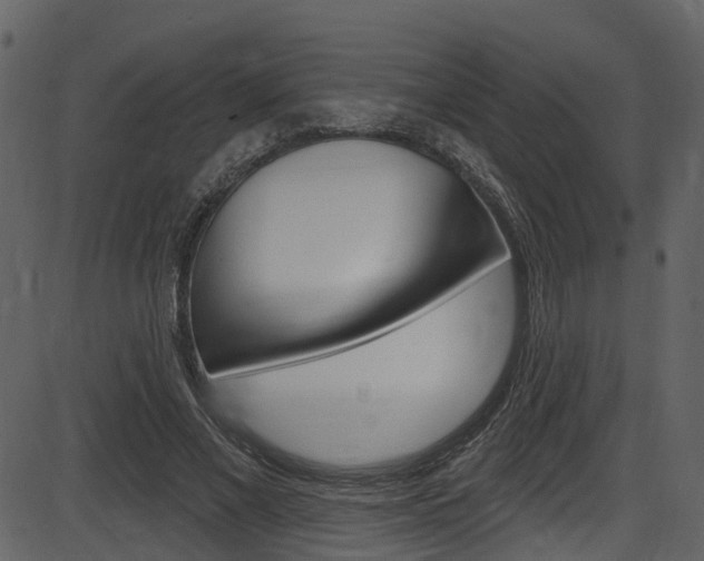 X0000086220685200703291004