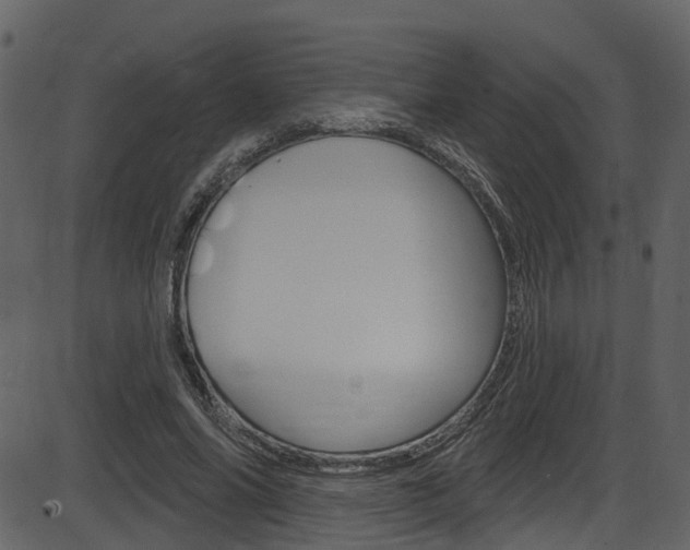 X0000086220686200703291004