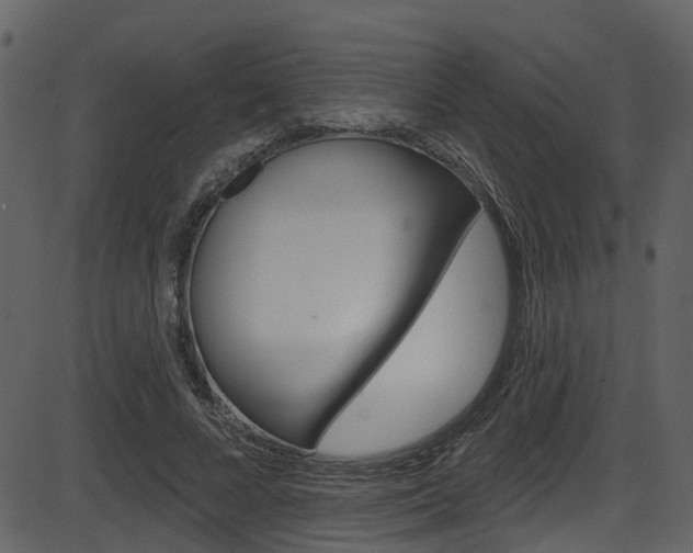X0000086220688200703291004