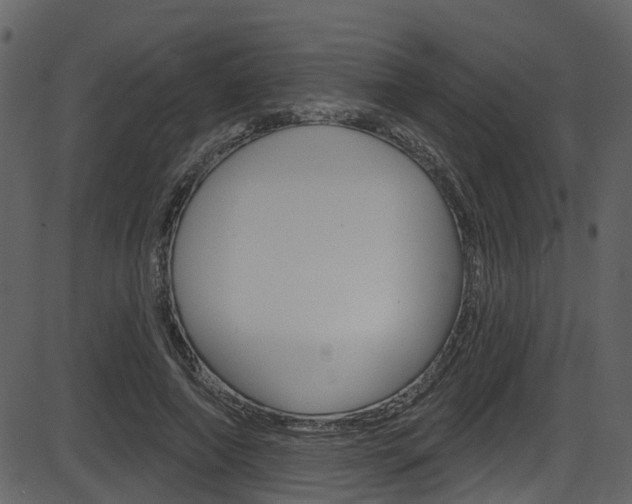 X0000086220690200703291004