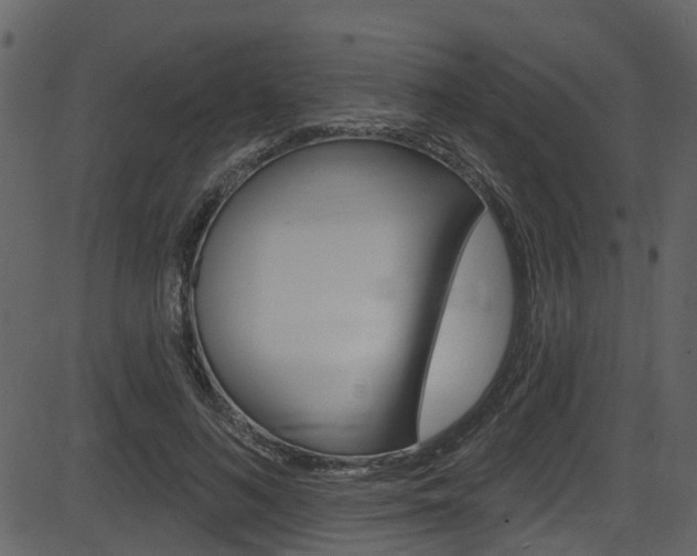 X0000086220692200703291004
