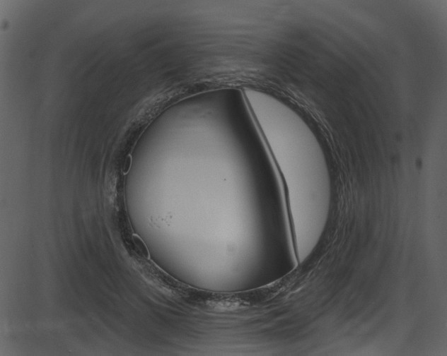X0000086220693200703291004