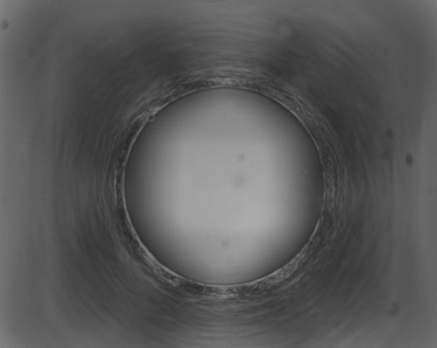 X0000086220696200703291004