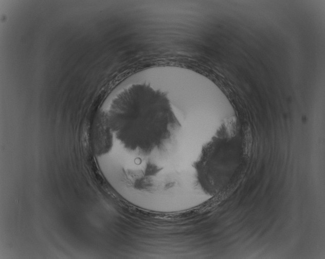 X0000086220699200703291004