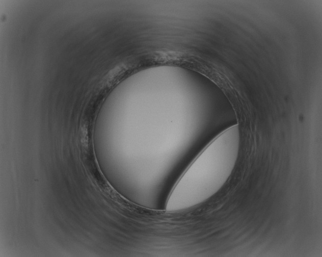 X0000086220700200703291004