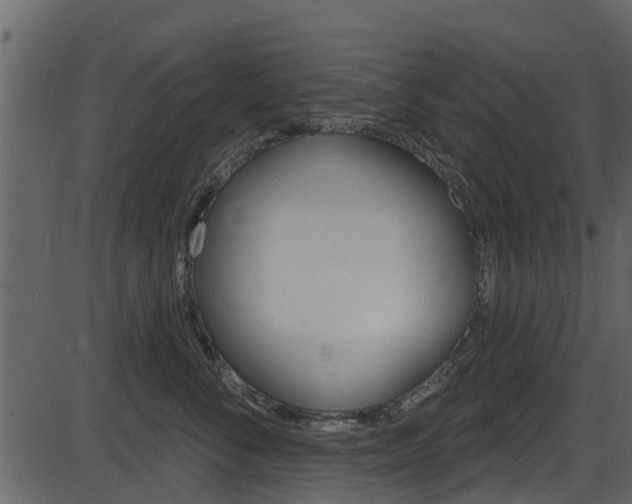 X0000086220716200703291004