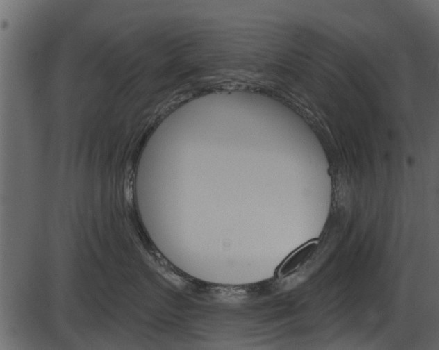 X0000086220719200703291004