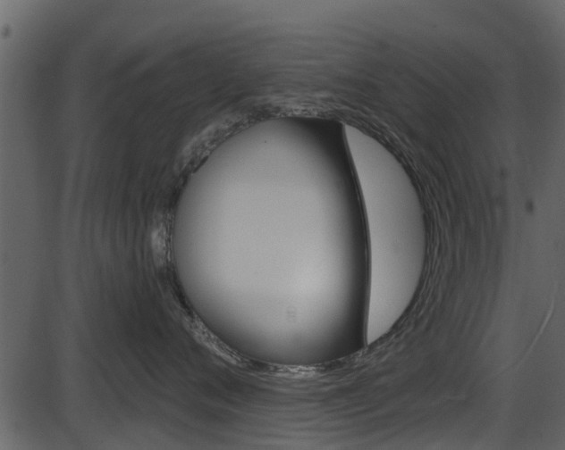 X0000086220720200703291004