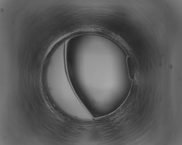 X0000086220724200703291003