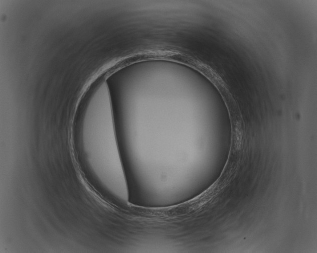 X0000086220726200703291003