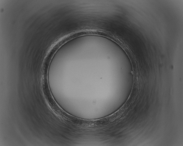 X0000086220728200703291003