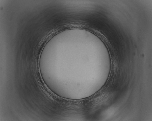 X0000086220729200703291003