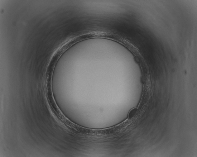 X0000086220730200703291003