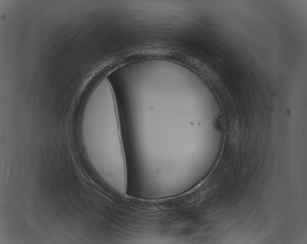 X0000086220731200703291003