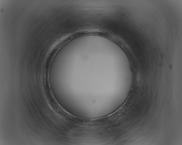X0000086220732200703291003