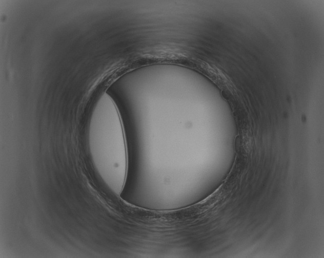 X0000086220735200703291003