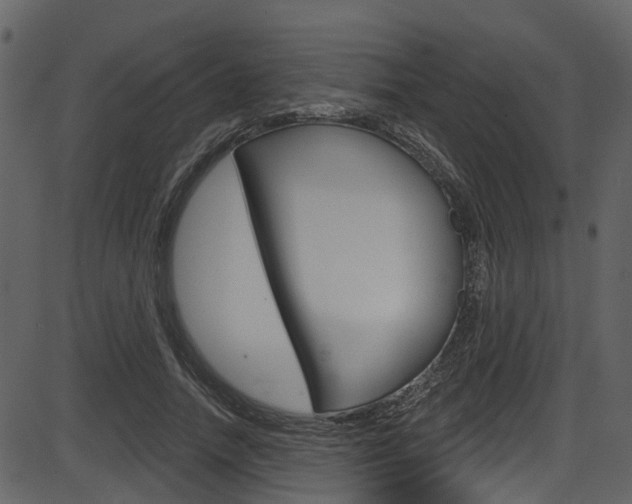 X0000086220738200703291003