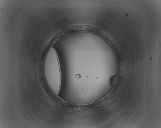 X0000086220739200703291003