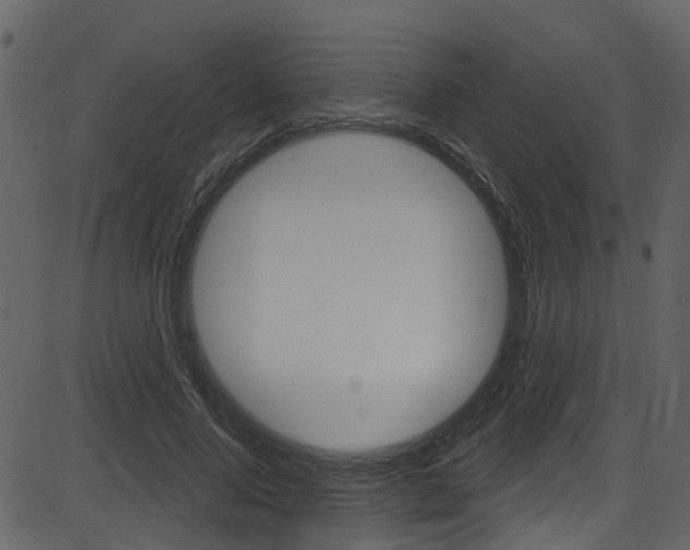 X0000086220740200703291003