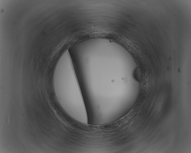 X0000086220742200703291003