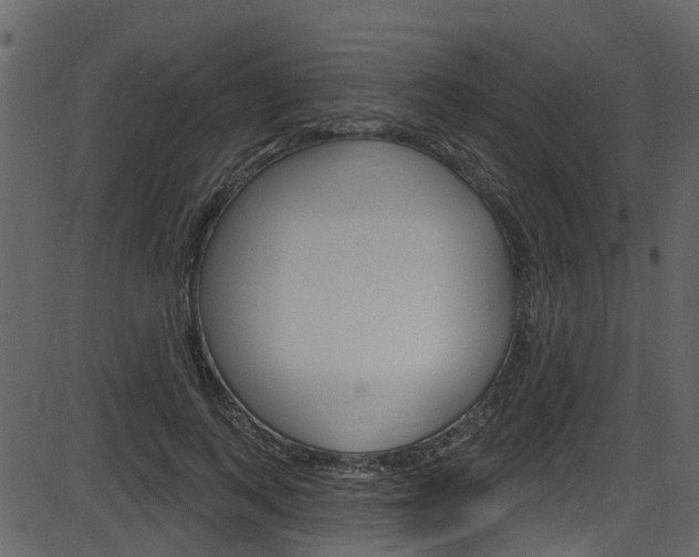 X0000086220743200703291003