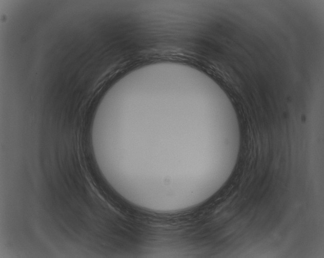 X0000086220744200703291003