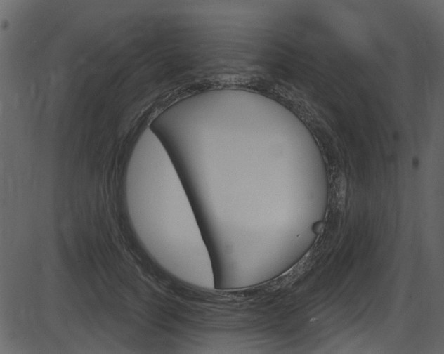 X0000086220746200703291003