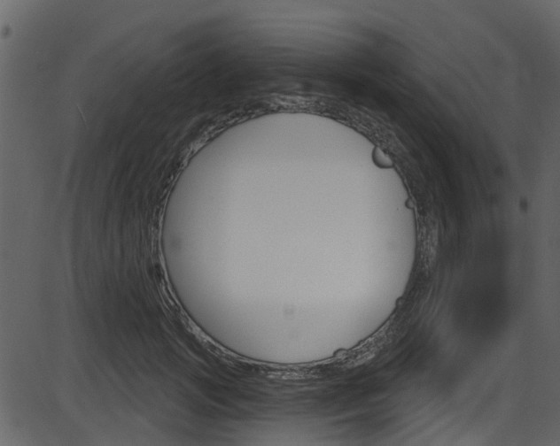 X0000086220749200703291003