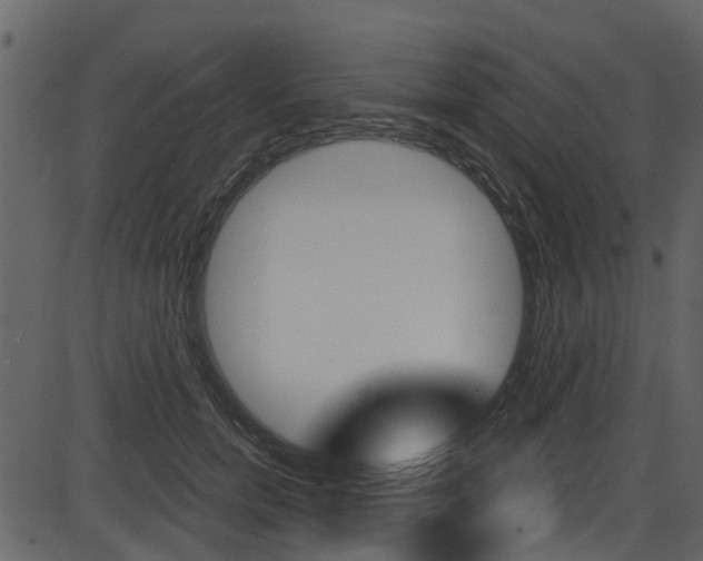 X0000086220750200703291003