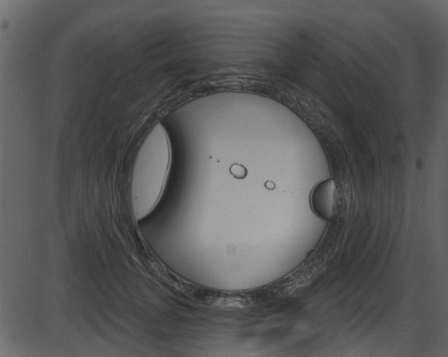 X0000086220751200703291003