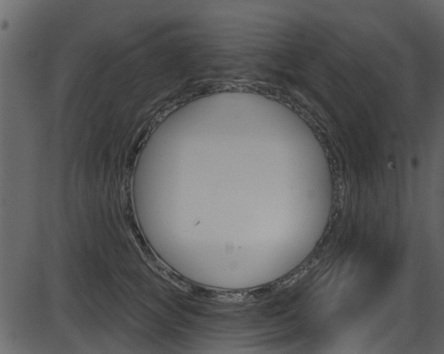 X0000086220757200703291003