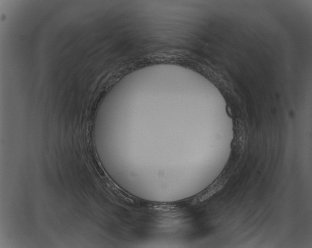 X0000086220758200703291003